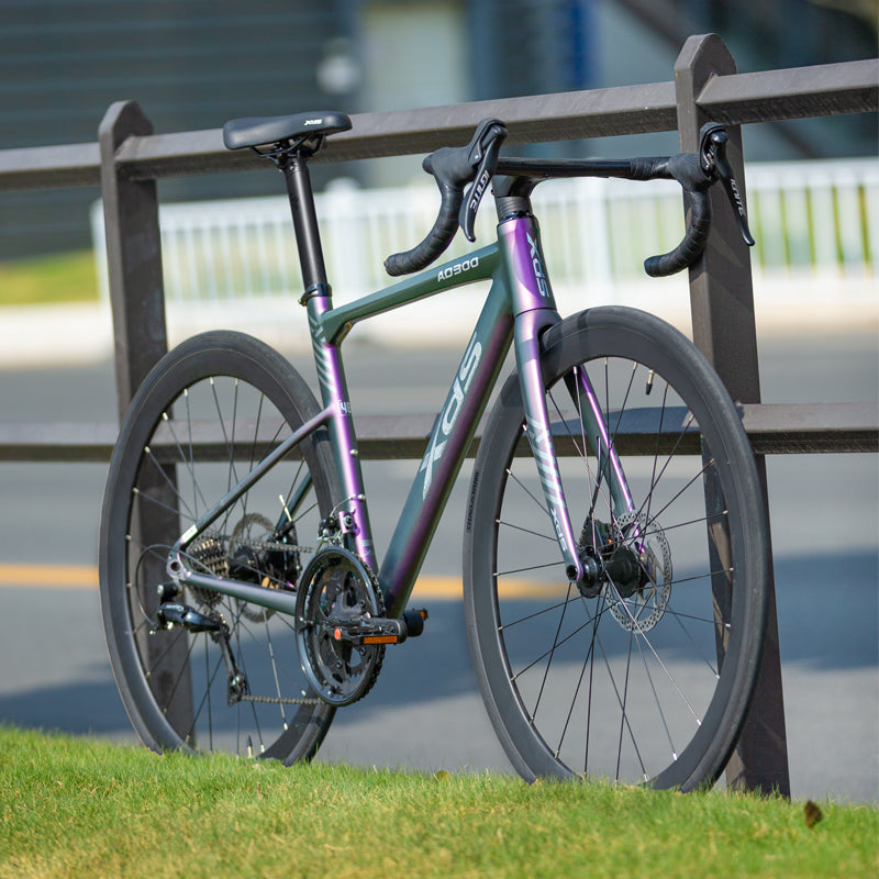 XDS AD300 18sp // Road Bike