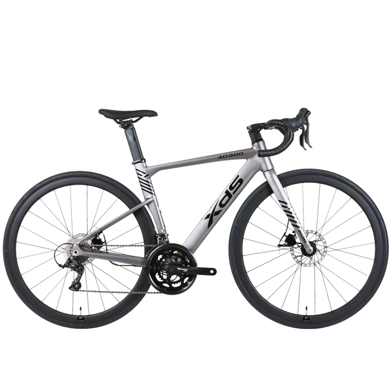 XDS AD300  18sp //  Road Bike