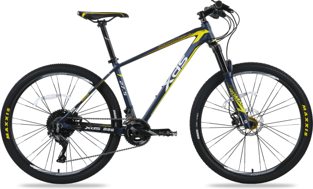 Xds 2024 bikes 2020